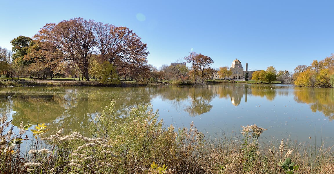 A lake is bordered by foliage.
